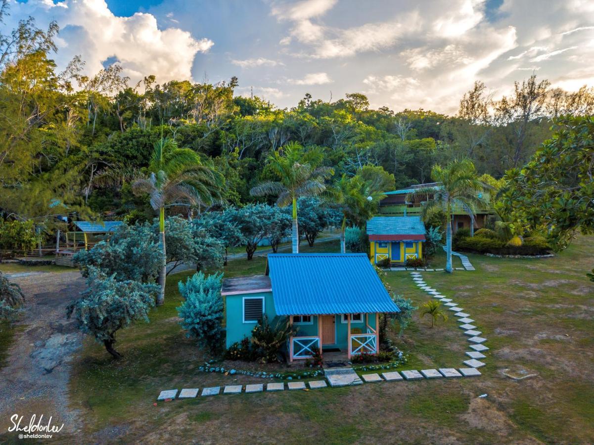 Strawberry Fields Together Robins Bay Luaran gambar
